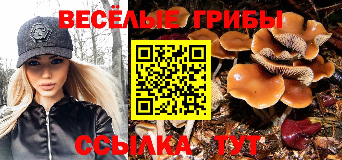 Гуково  Галлюциногенные грибы Psilocybe  Вход с VPN 